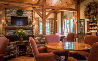 The Transformative Power of Natural Interior Design Elements