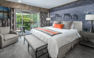 Designing Luxury Hospitality Spaces That Impress Guests Year-Round