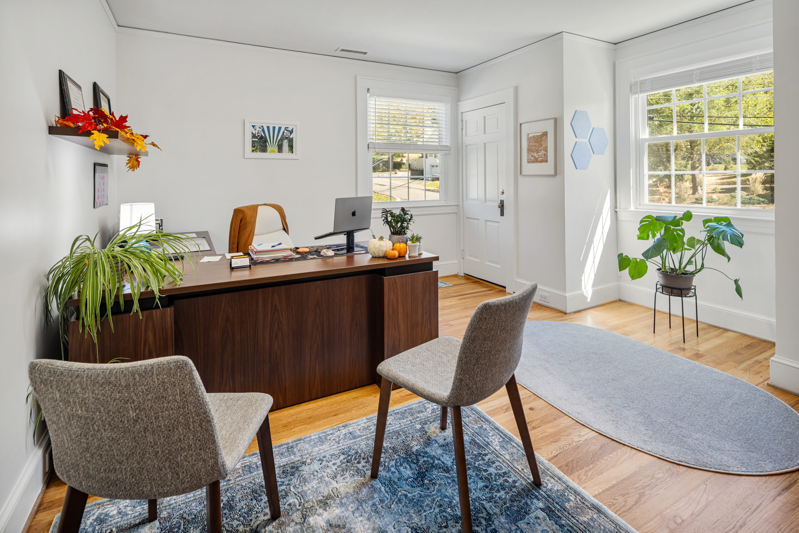Office with table and 2 chairs and plants